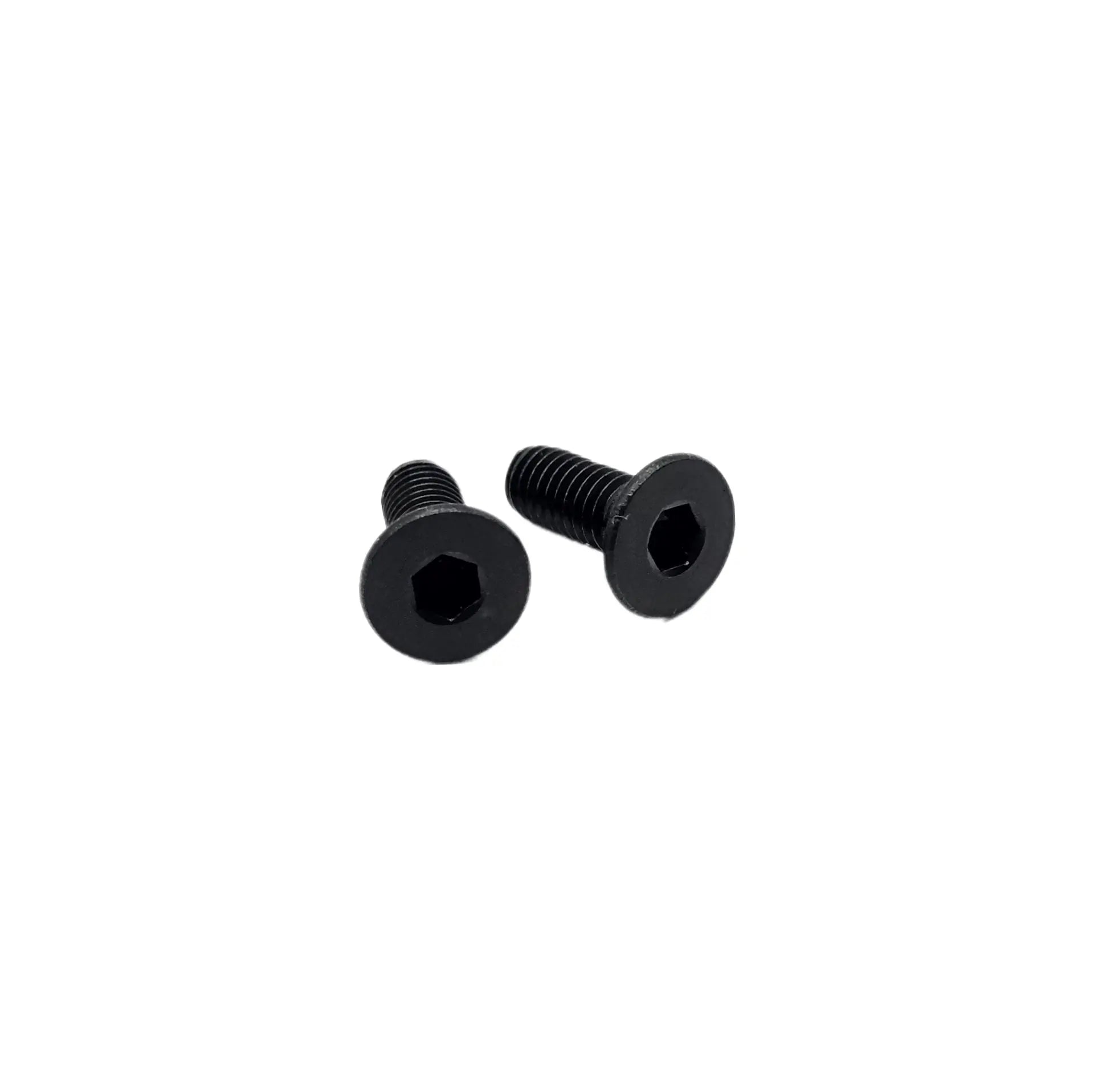 Ebog Designs AAP01 - Trigger Housing Side Screws - Black Ebog Designs - Airsoft 