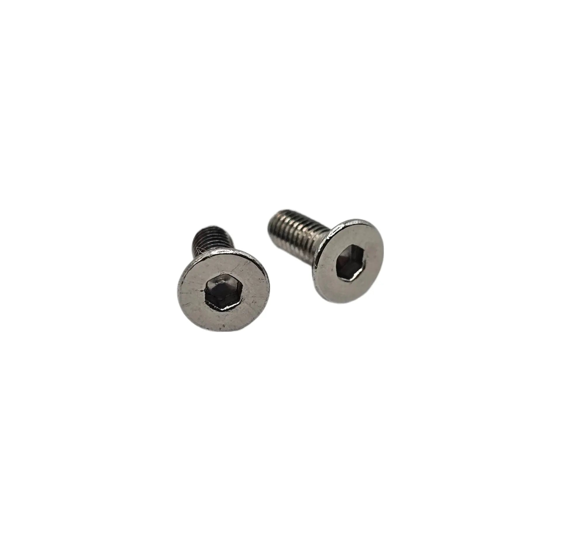 Ebog Designs AAP01 - Trigger Housing Side Screws - Silver Ebog Designs - Airsoft 