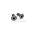 Ebog Designs AAP-01 XL trigger housing side screws, silver, two countersunk hex-socket screws