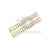 NexxSpeed 140% Enhanced Hammer Spring - 2 Pack NexxSpeed - Airsoft 