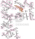 Full Tokyo Marui Hi-Capa 4.3 parts diagram showing where the 4.3 blowback unit set with piston head (parts H43-5, H51-14, H51-15, H51-16, H43-26 and H43-27) fits