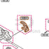 Tokyo Marui Hi-Capa 4.3 Dual Stainless parts diagram with the right thumb safety, part H43B-6, outlined