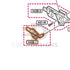 Tokyo Marui Hi-Capa 4.3 Dual Stainless parts diagram with the left thumb safety, part H43B-7, outlined