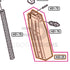 Tokyo Marui Hi-Capa 4.3 parts diagram with the magazine shell, part H43-25, outlined
