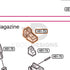 Tokyo Marui Hi-Capa 5.1 parts diagram with the magazine feed lips, part H51-73, outlined