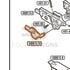 Tokyo Marui Hi-Capa White D.O.R parts diagram with the left thumb safety, part GBB13-10, outlined