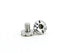 AIP CNC Stainless Steel Grip Screws For Hi-capa - Type 4 (Silver) AIP - Airsoft 